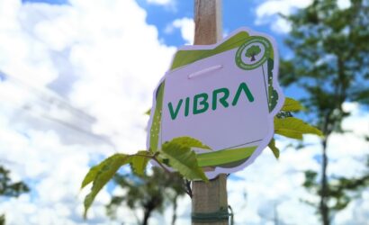 Através do Projeto Arborizar Vibra planta dezenas de mudas de árvores
