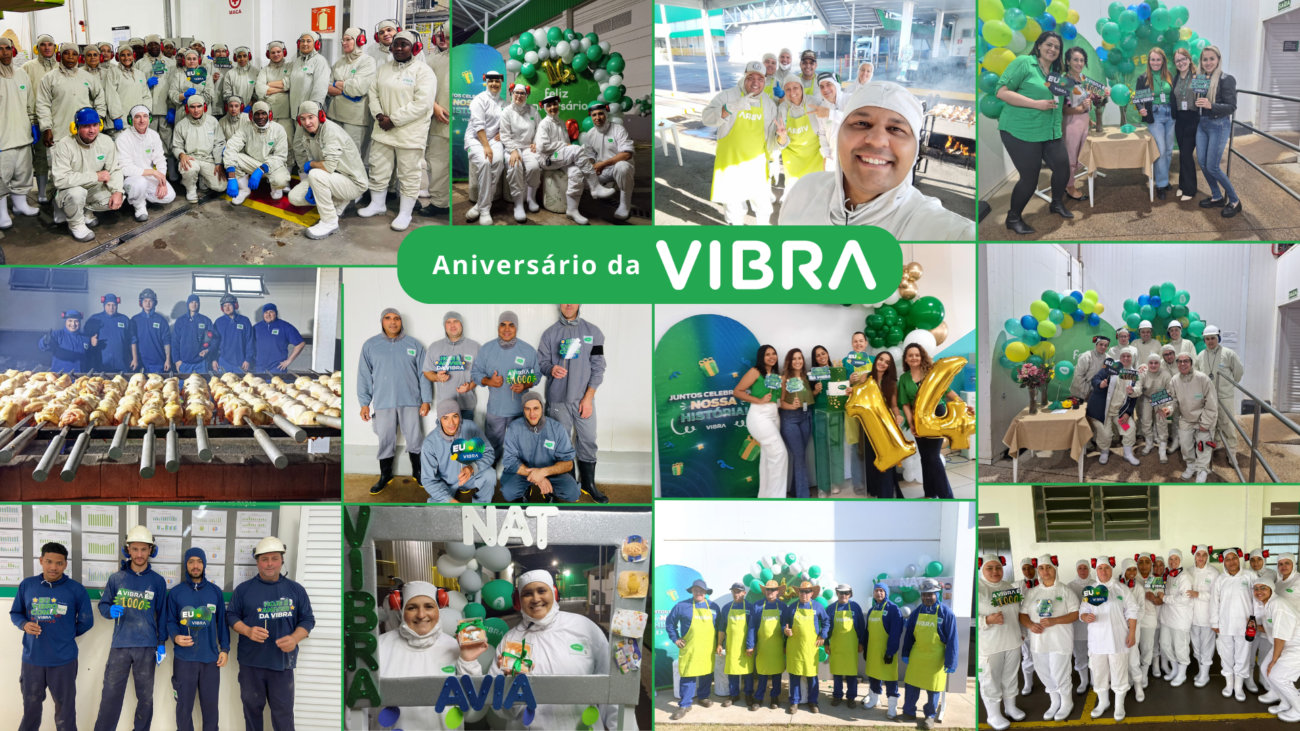 montagem com diversas fotografias do aniversário da vibra, com os funcionários na fábrica juntos em comemoração e churrasco.